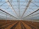 Multi-span Greenhouse - Greenhouse Structures - Spanish greenhouse - plastic greenhouse - greenhouses, poly carbonate - Build Greenhouse - Greenhouse Sale - Greenhouse Hydroponics